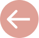 Icon arrow left